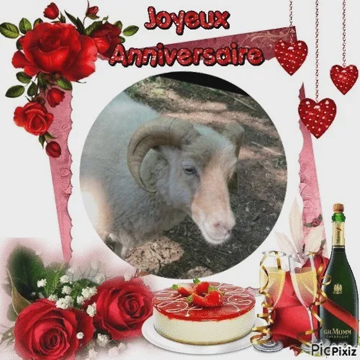 Bon anniversaire  @[Sol](pet:522306)