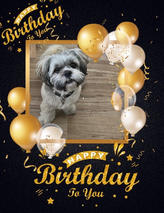 Joyeux Anniversaire 🎉🎁🎈 bel @[Oscar](pet:539249). Gros bisous 😘