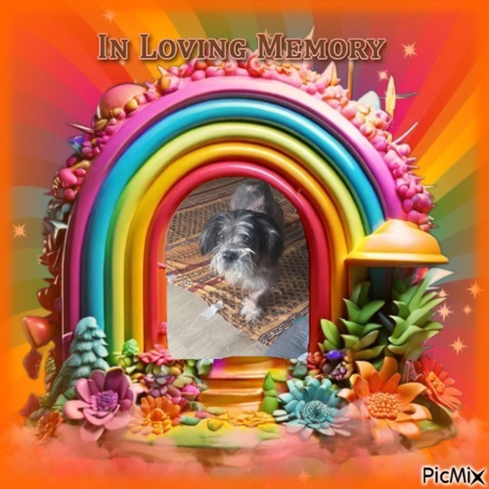 Douces pensées Ange @[Berlioz](pet:114752) 😭🙏🌟