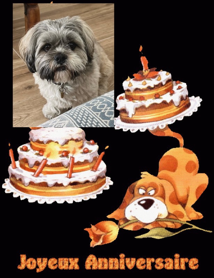 Joyeux Anniversaire 🎂🎁🎈 @[Oscar](pet:539249). Gros bisous de nous 2 😘😘