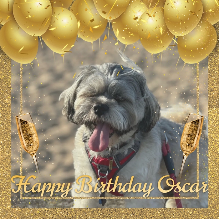 @[Oscar](pet:539249) JOYEUX ANNIVERSAIRE ♥