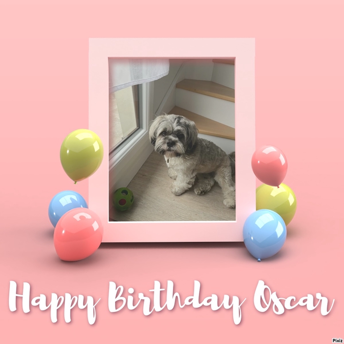 Bon anniversaire @[Oscar](pet:539249)