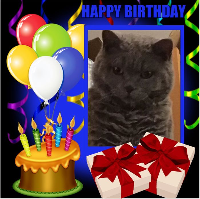 joyeux anniversaire Michka