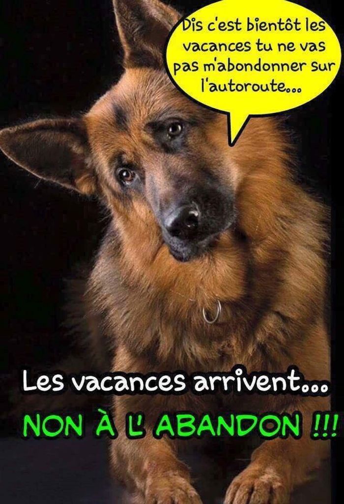 À partager 😢😢😢😢😢