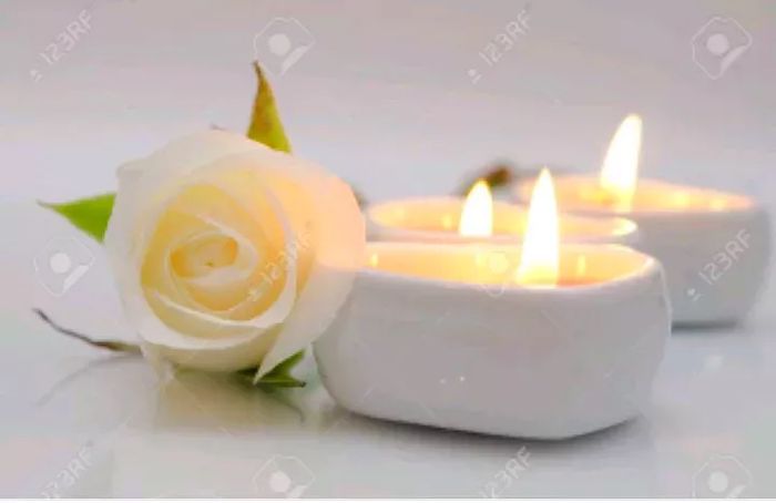 Les ami(e)s Mettez cette petite rose en hommage à Chevelu s'il vous plaît. 🌹 Merci par avance ❤