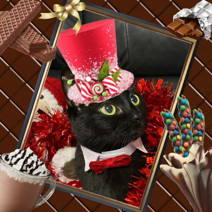 KDO de Désire* et Amour for You